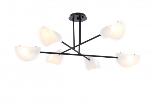 FR5228PL-06B_on_w_standard