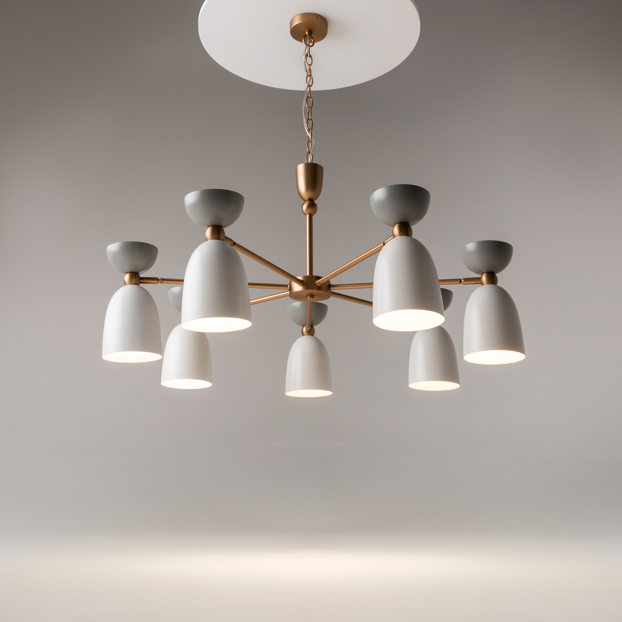 PHOTO_on_live_MOD113PL-07W_standard