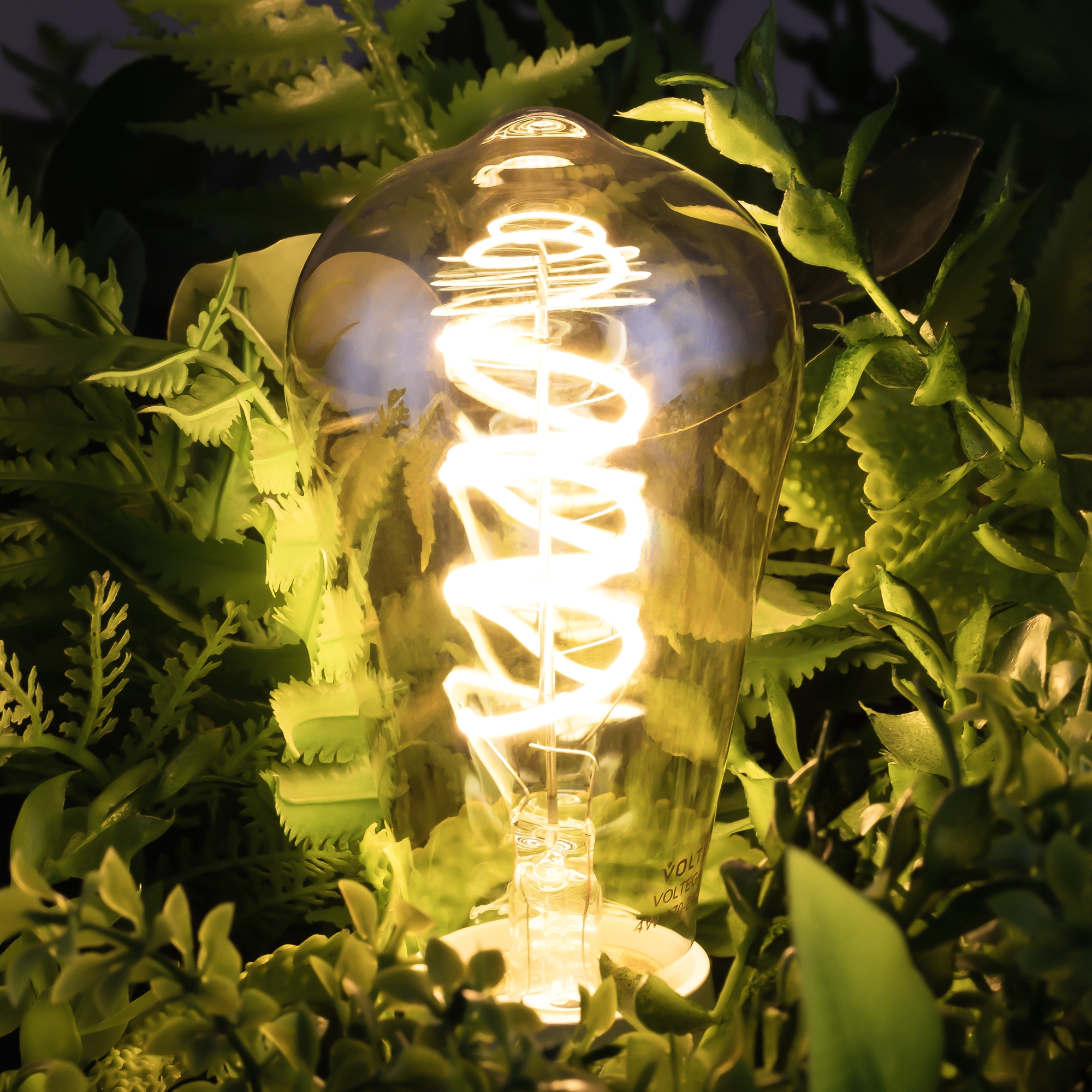 interior_7077_standard