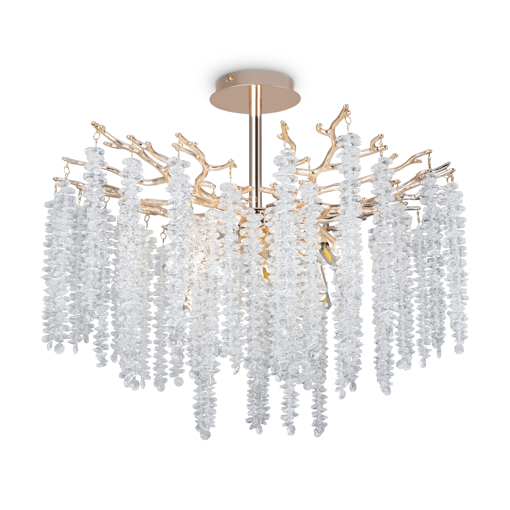 PHOTO_FR1010CL-08G_on_w_standard_(4)