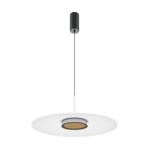 RENDER_MOD041PL-L15W3K1_on_w_standard_(3)