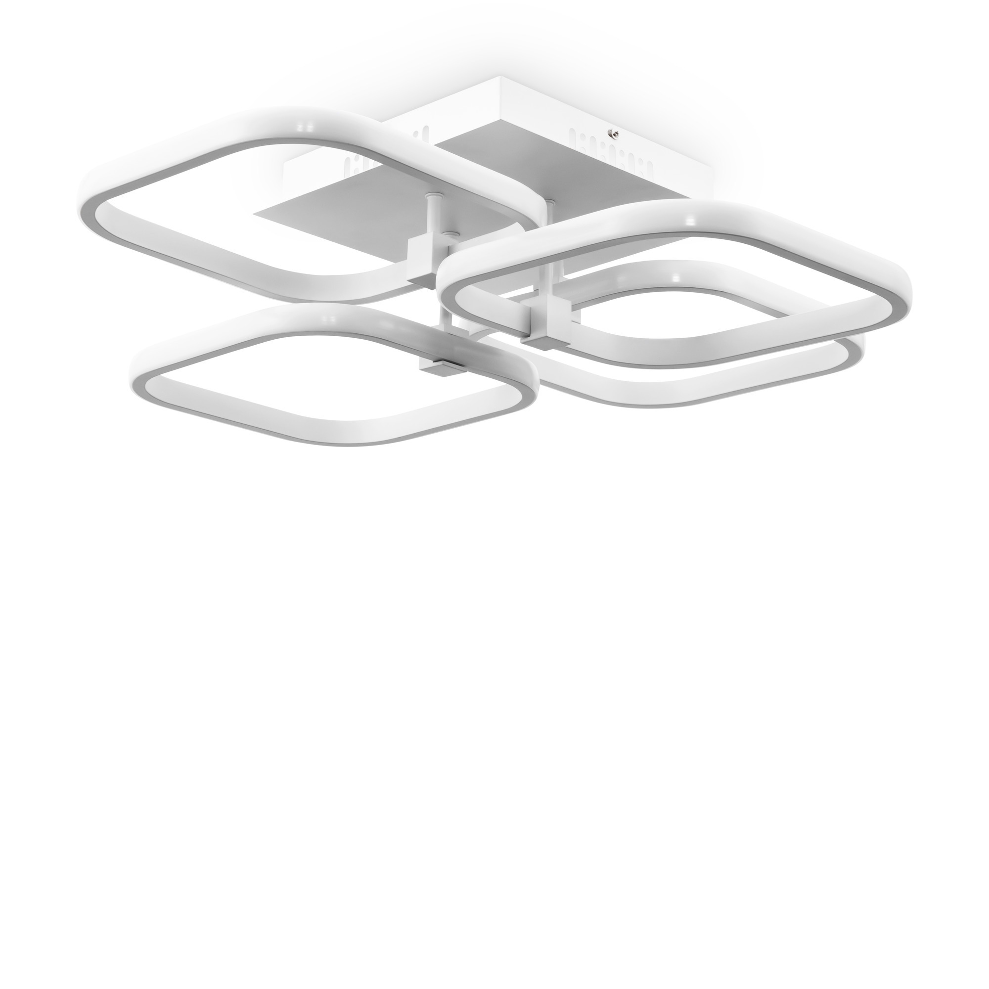 PHOTO_FR10018CL-L51W_on_w_standard_(1)