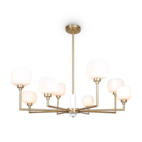 PHOTO_FR5373CL-08BS_on_w_standard_(1)