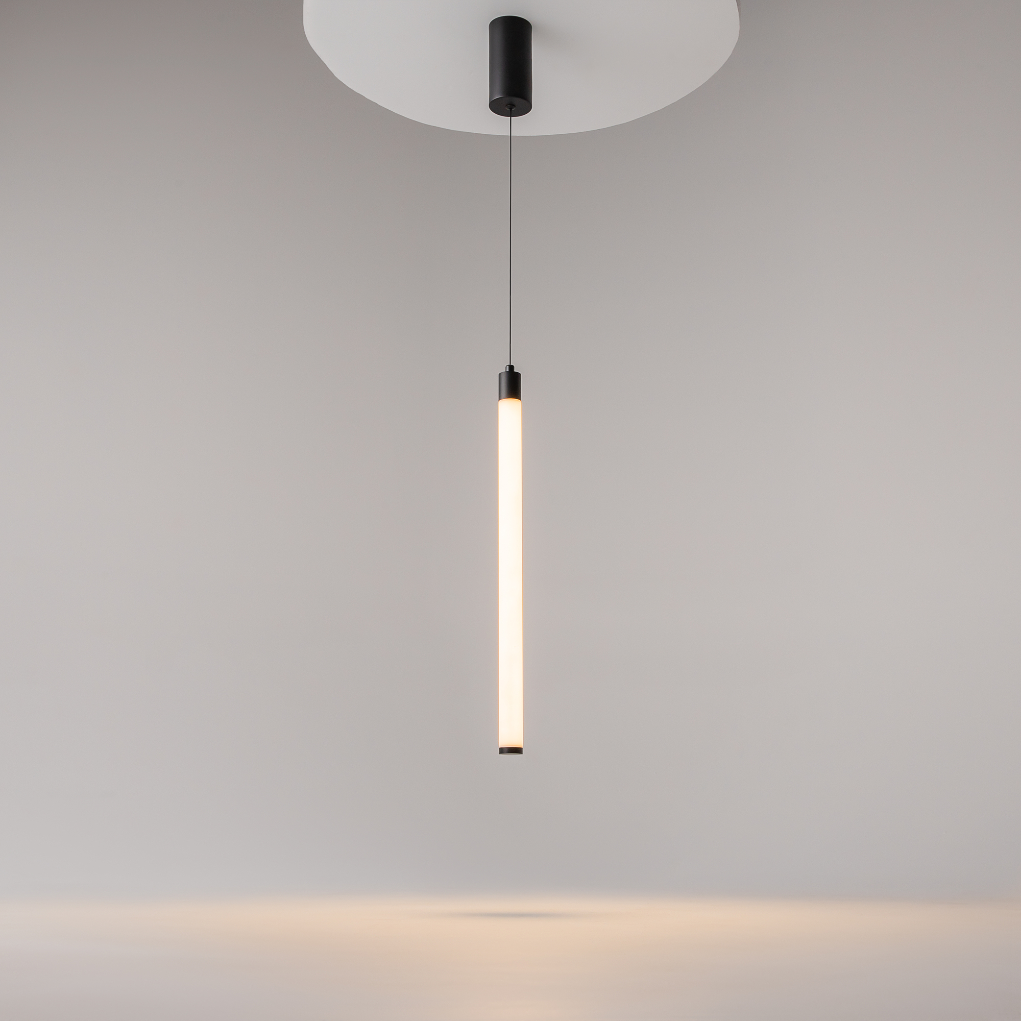 PHOTO_on_live_P022PL-L10B_standard