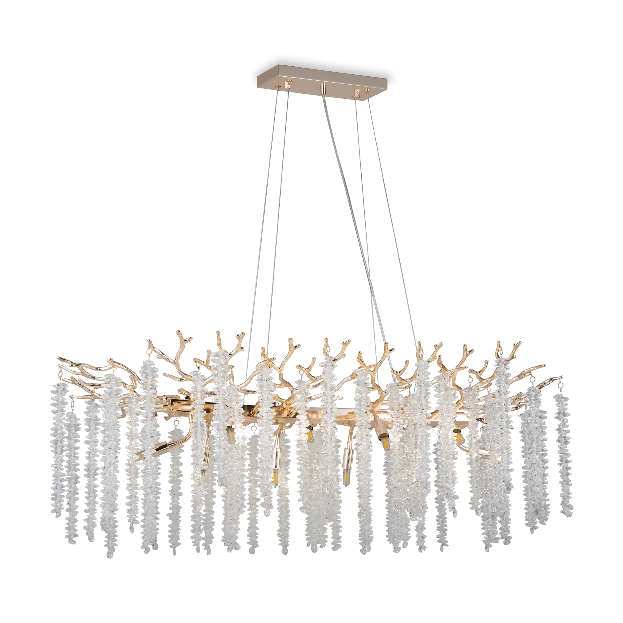 PHOTO_FR1010PL-10G1_on_w_standard_(2)