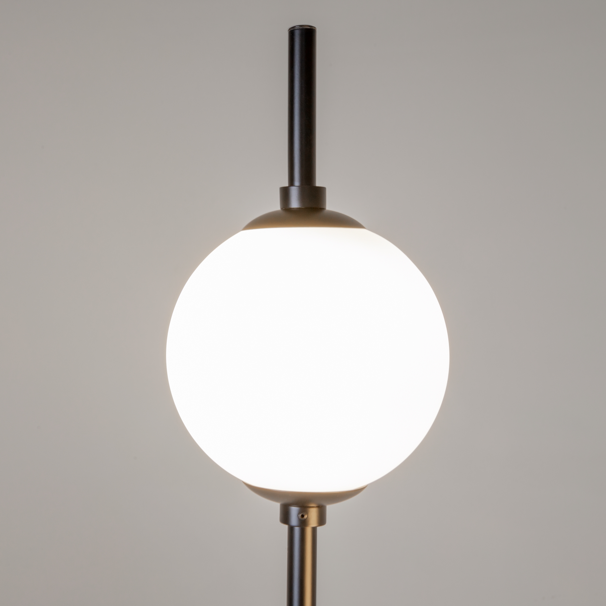 PHOTO_element_Z020FL-L12BK_w_standard_(1)