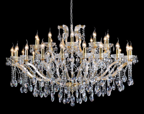 HOLLYWOOD_SP20%2B10_GOLD