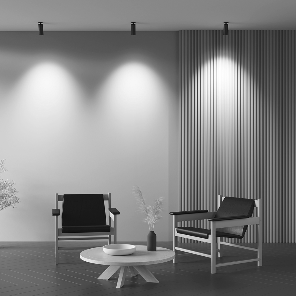 How_it_shines_C053CL-L12W4K-W-B_standard