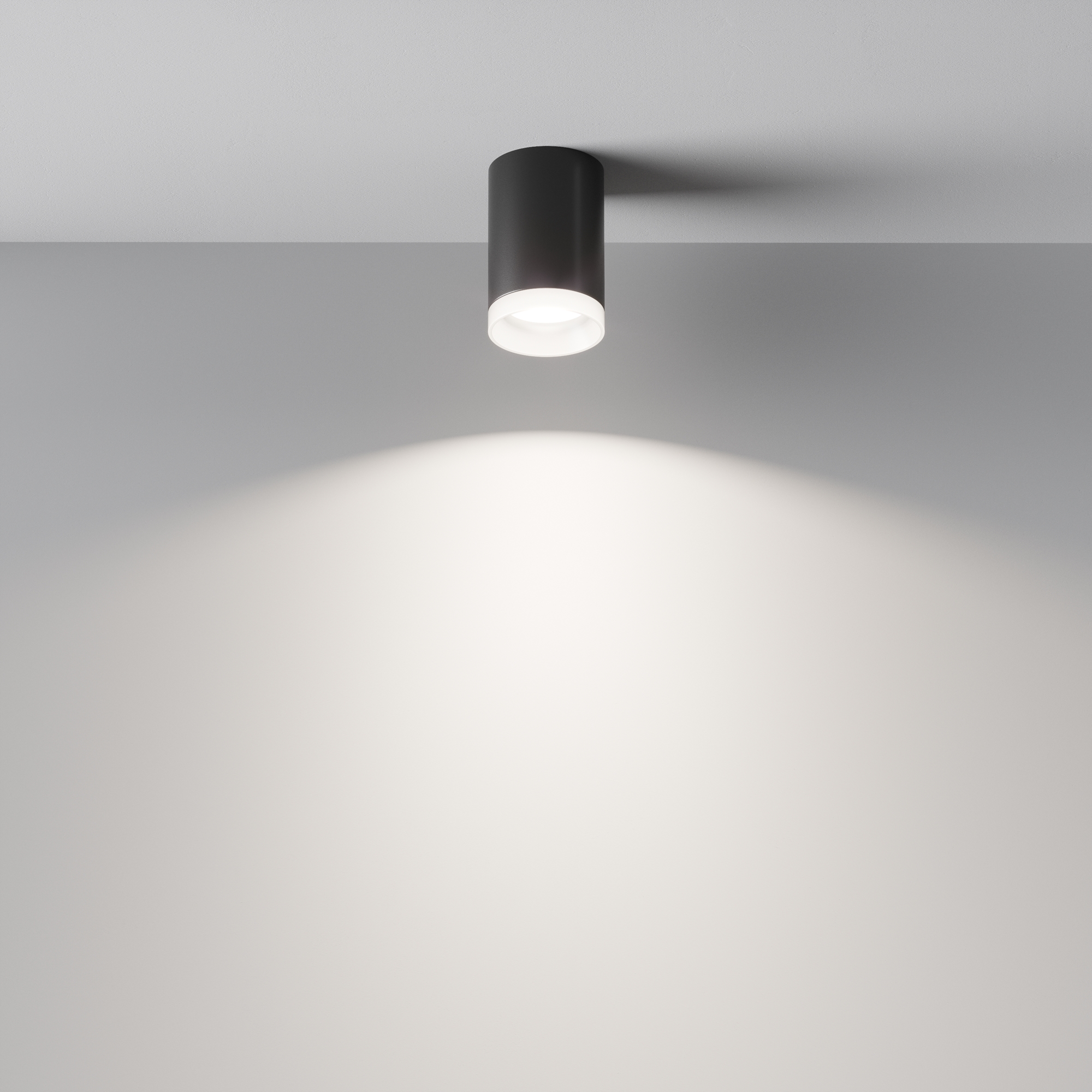 Additional_perspective_C008CW-01B_standard