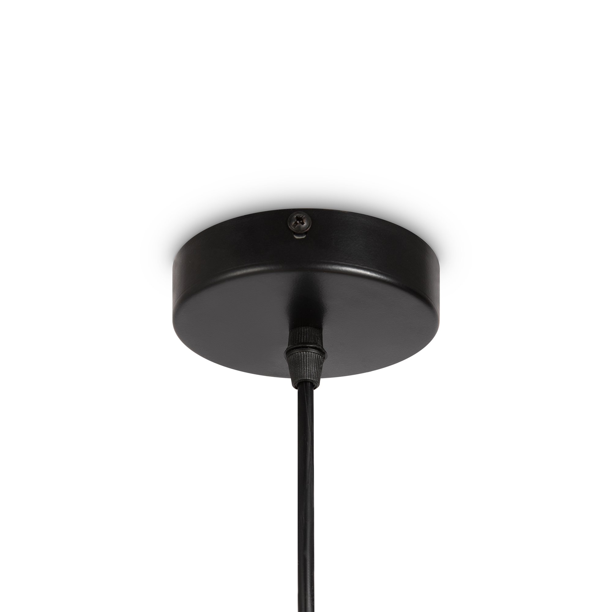 element_FR5247PL-01BG1_w_standard