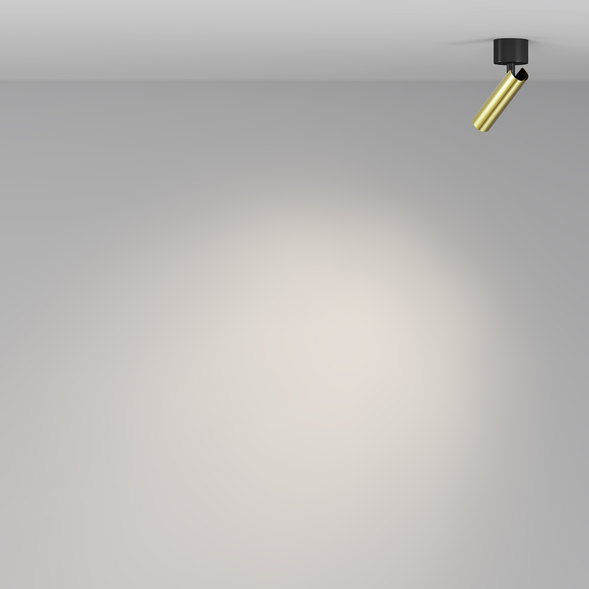 RENDER_Additional_perspective_C141CL-L125-6W4K-BBS_standard