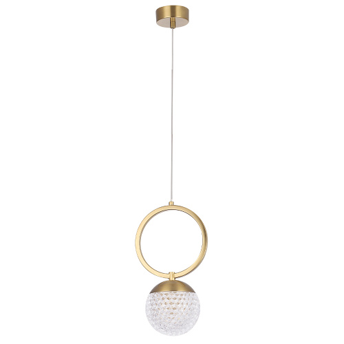 CAROLINA_SP1_V1_BRASS CAROLINA_SP1_V1_BRASS