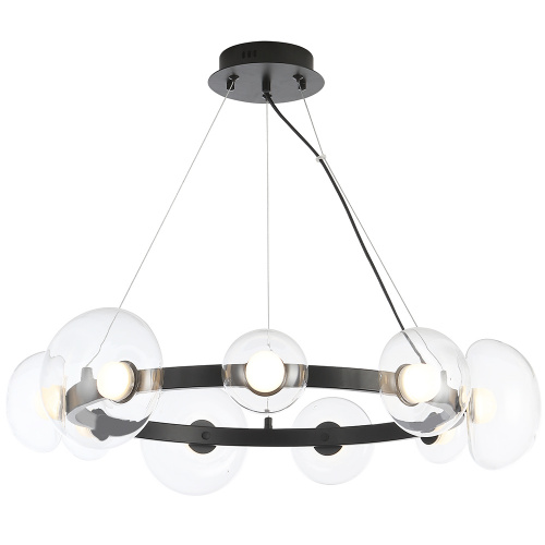 BOSQUE_SP9_BLACK_TRANSPARENT