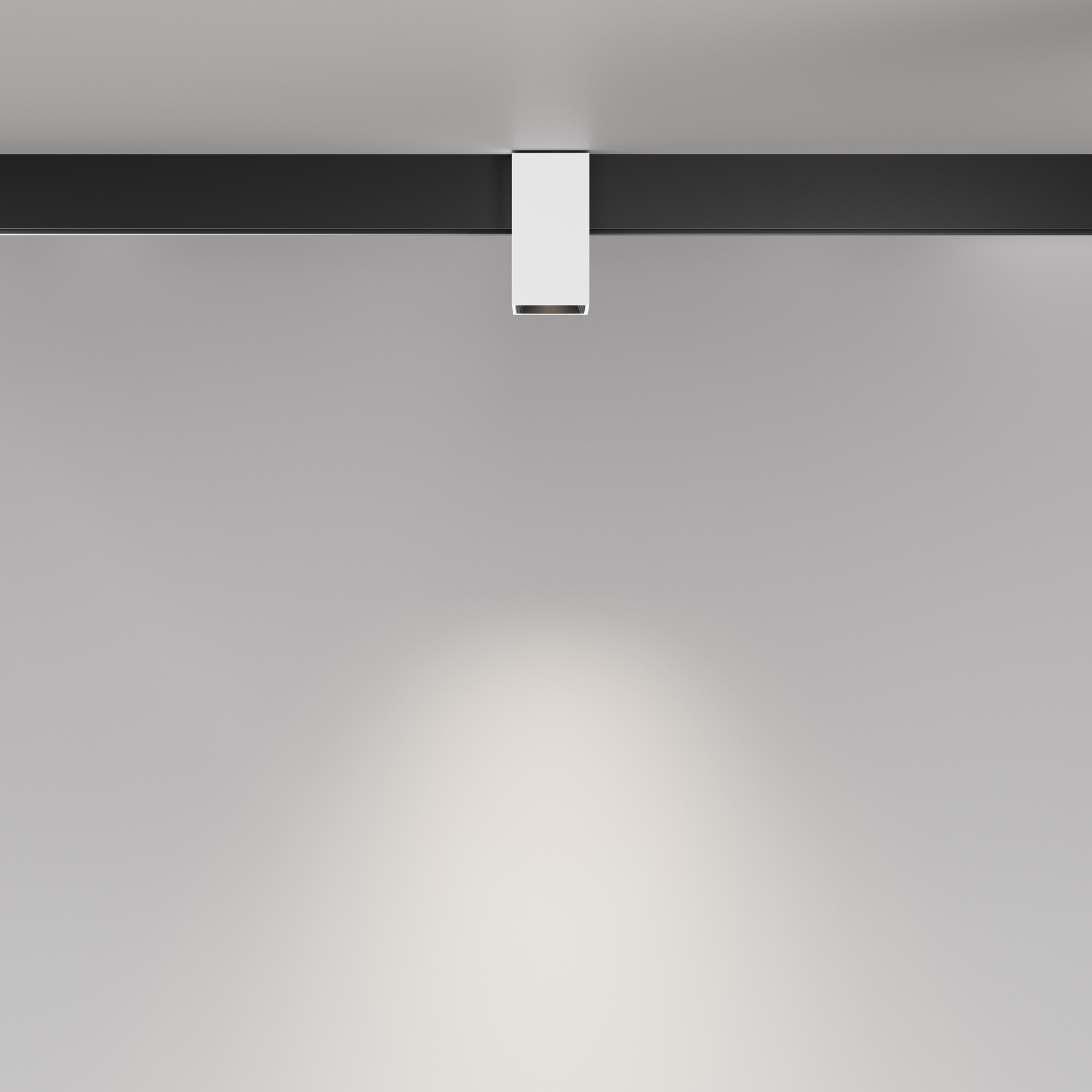 RENDER_Additional_perspective_TR121-4-7W-DS-W_standard