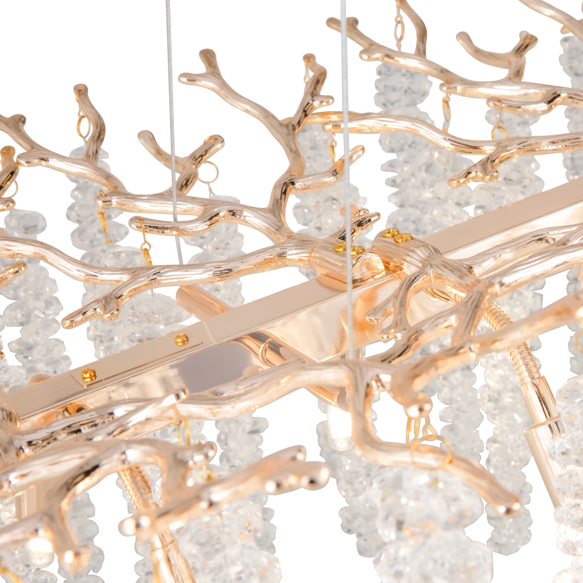 PHOTO_element_FR1010PL-10G1_w_standard