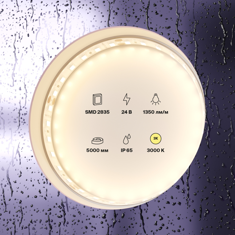 element_10151_w_standard_(2)
