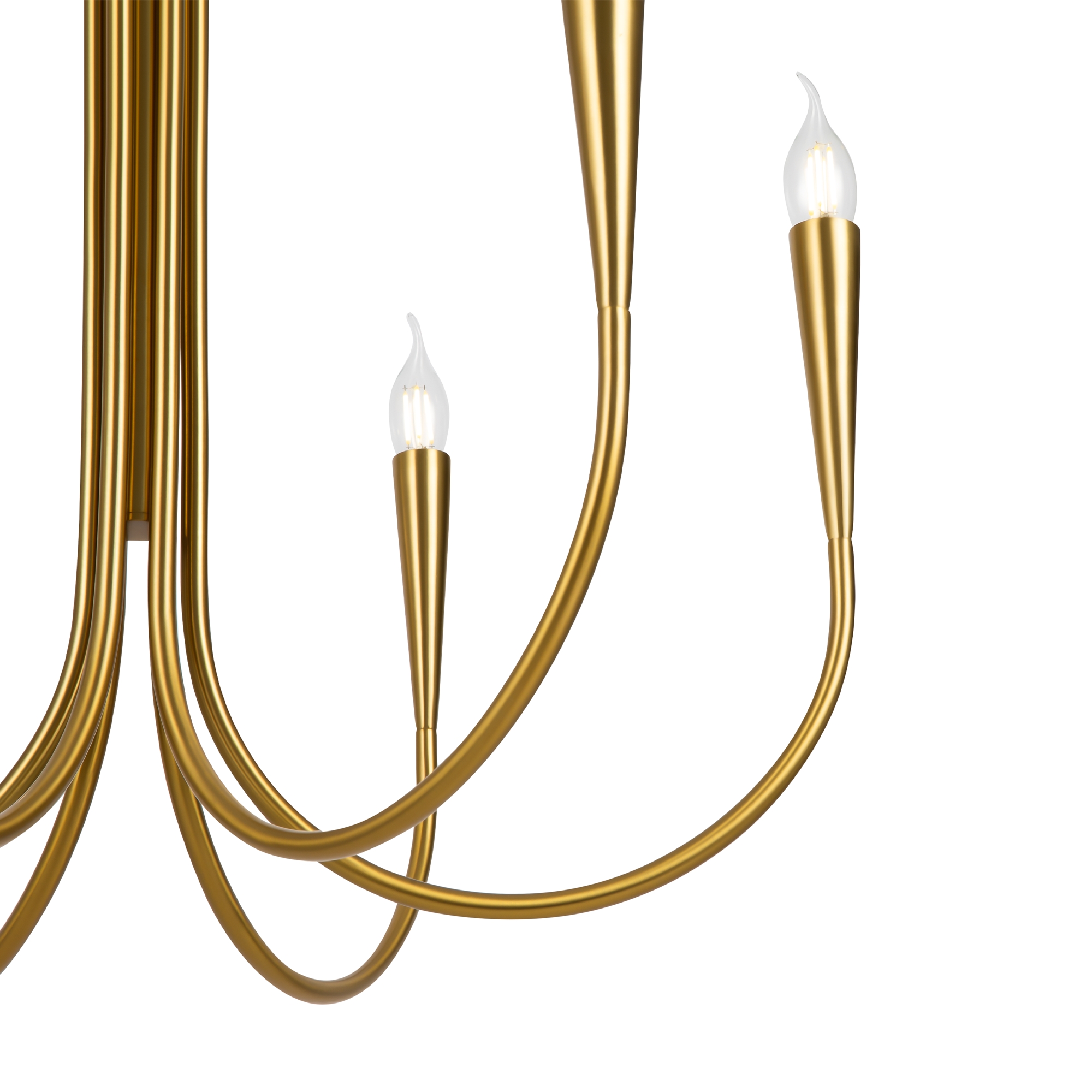 RENDER_element_FR5253PL-06BS_w_standard