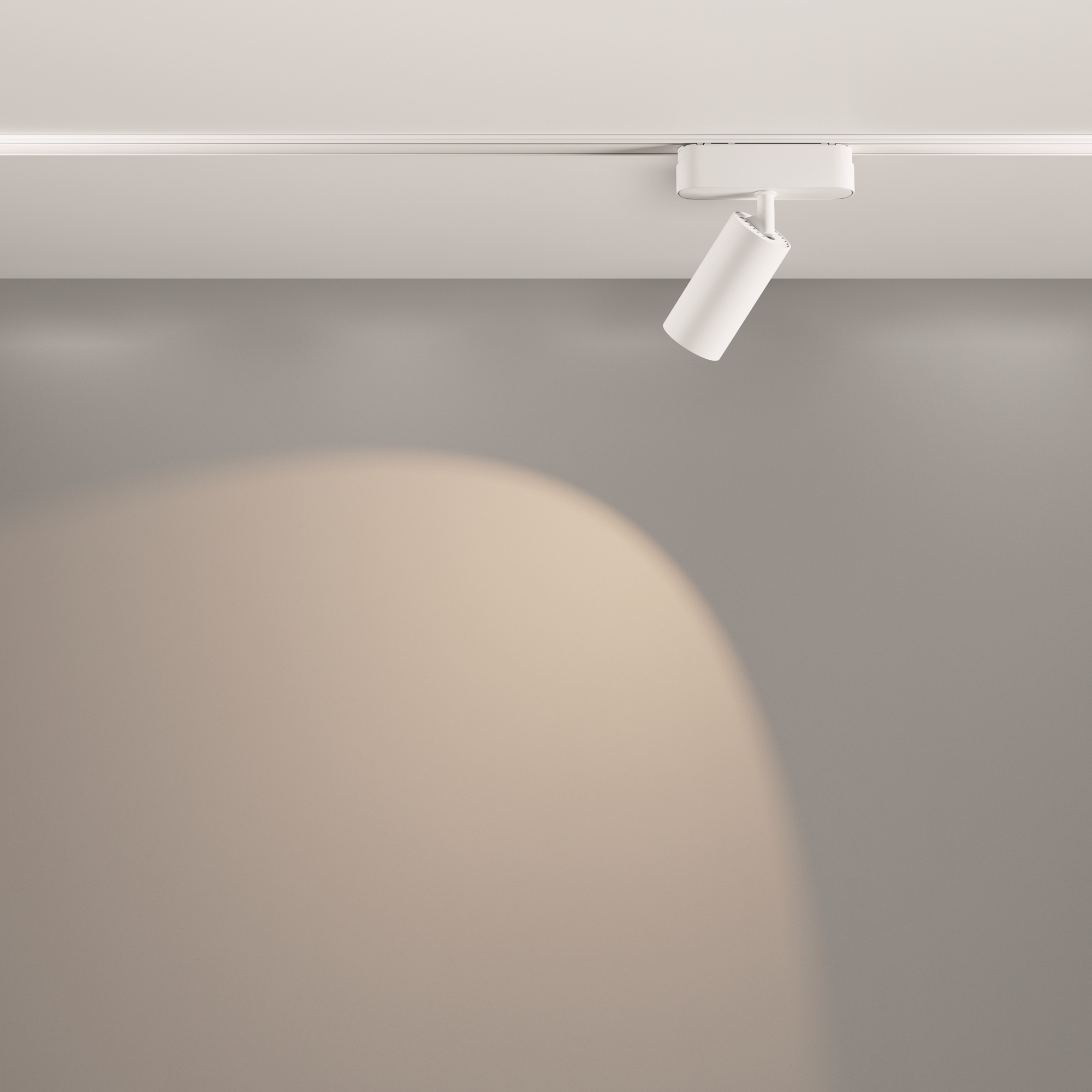 RENDER_Additional_perspective_CMYK_TR103-1-12W4K-M-W_standard