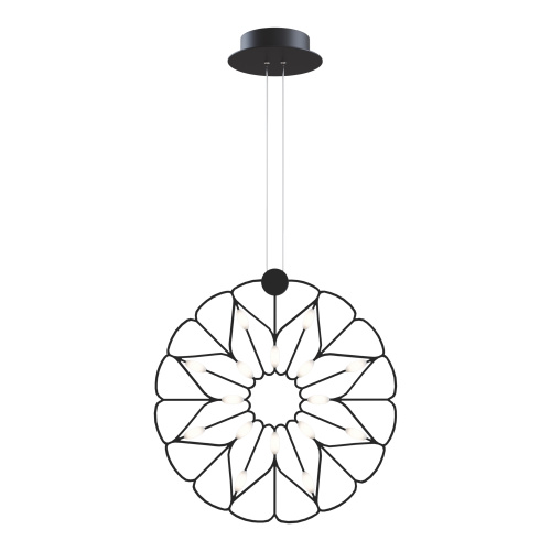 RENDER_MOD037PL-L16B_on_w_standard