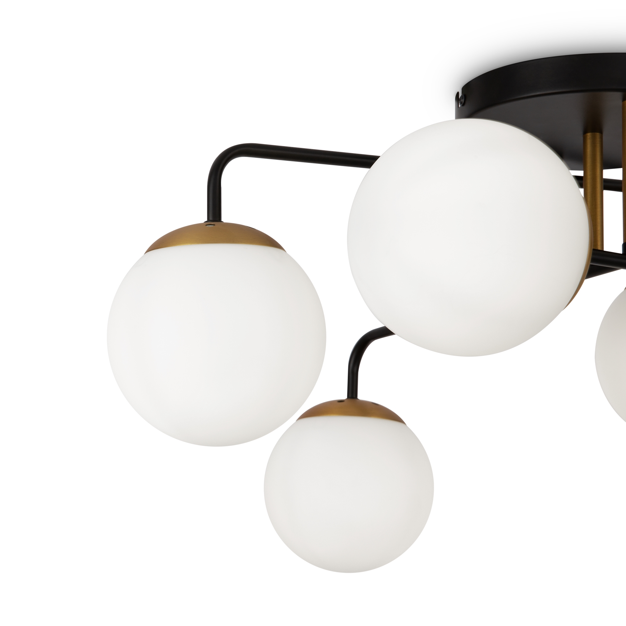 element_FR8016PL-06BBS1_w_standard_(1)