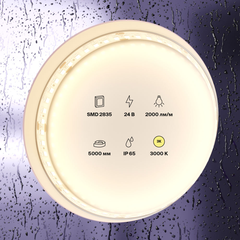 element_10157_w_standard_(2)