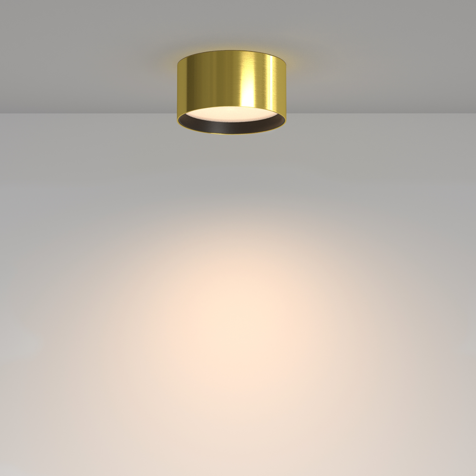 RENDER_Mobility_and_control_feature_C091CL-12W3K-BS_standard