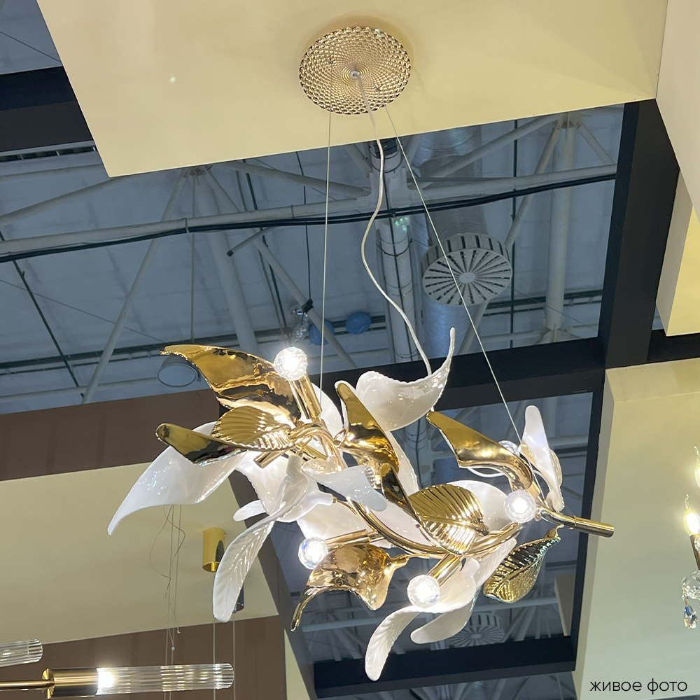 STEFANIA_SP6_livephoto