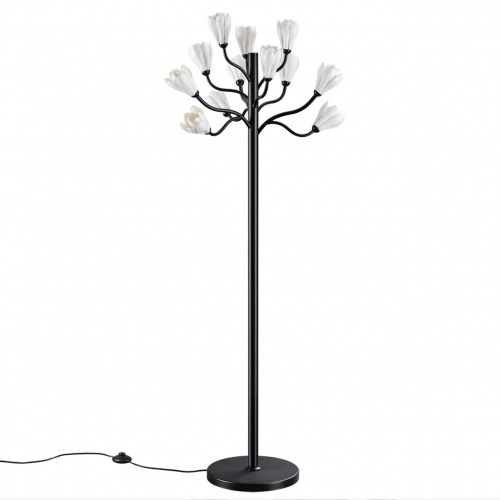 5e5c744b920eb302549e2a4134388f85