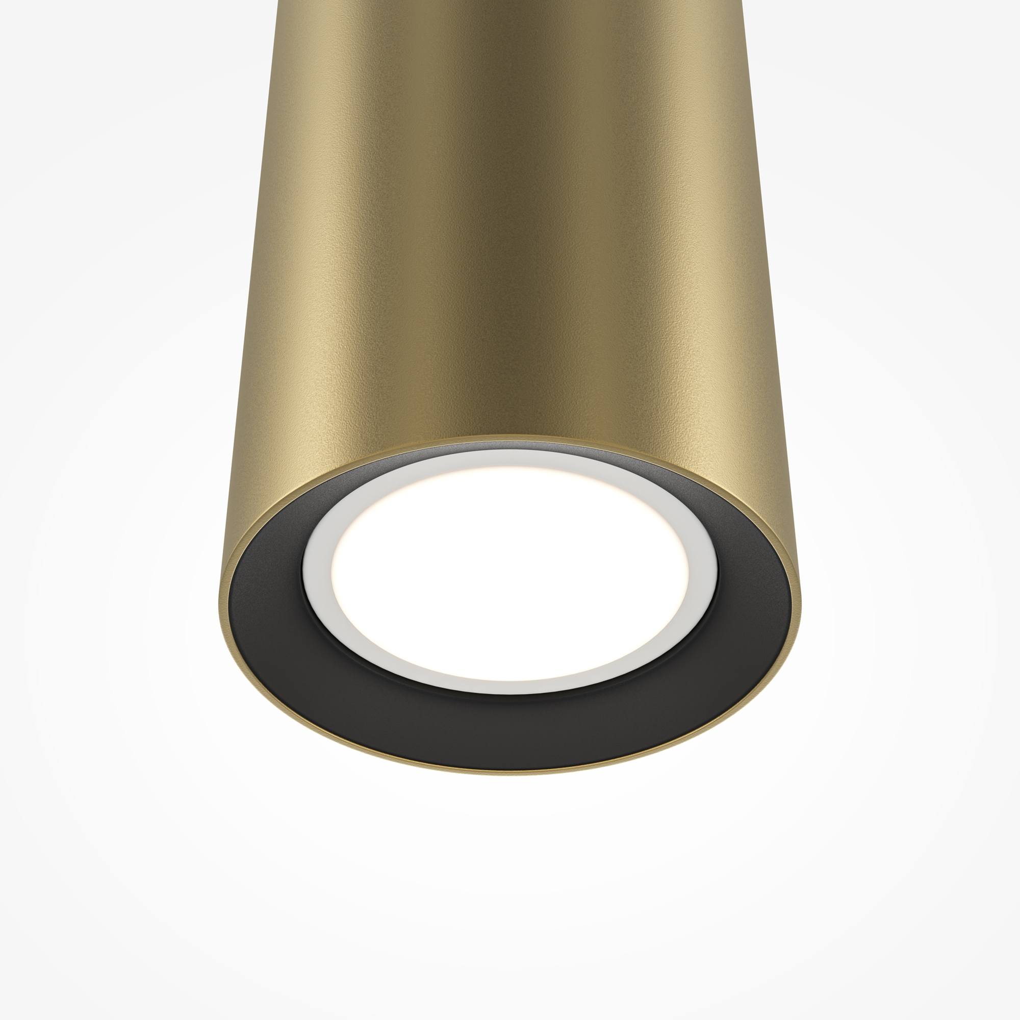 element_MOD161PL-01G1_w_standard