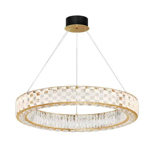 RENDER_MOD336PL-L170G3K_on_w_standard_(1)