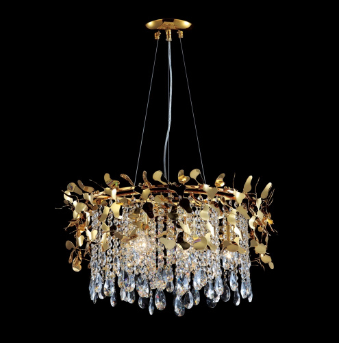 ROMEO_SP6_GOLD_D600