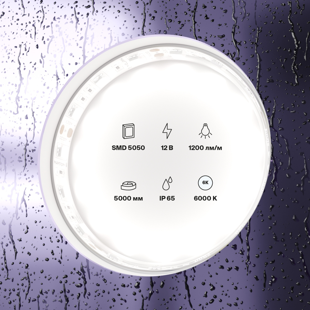 element_10133_w_standard_(2)