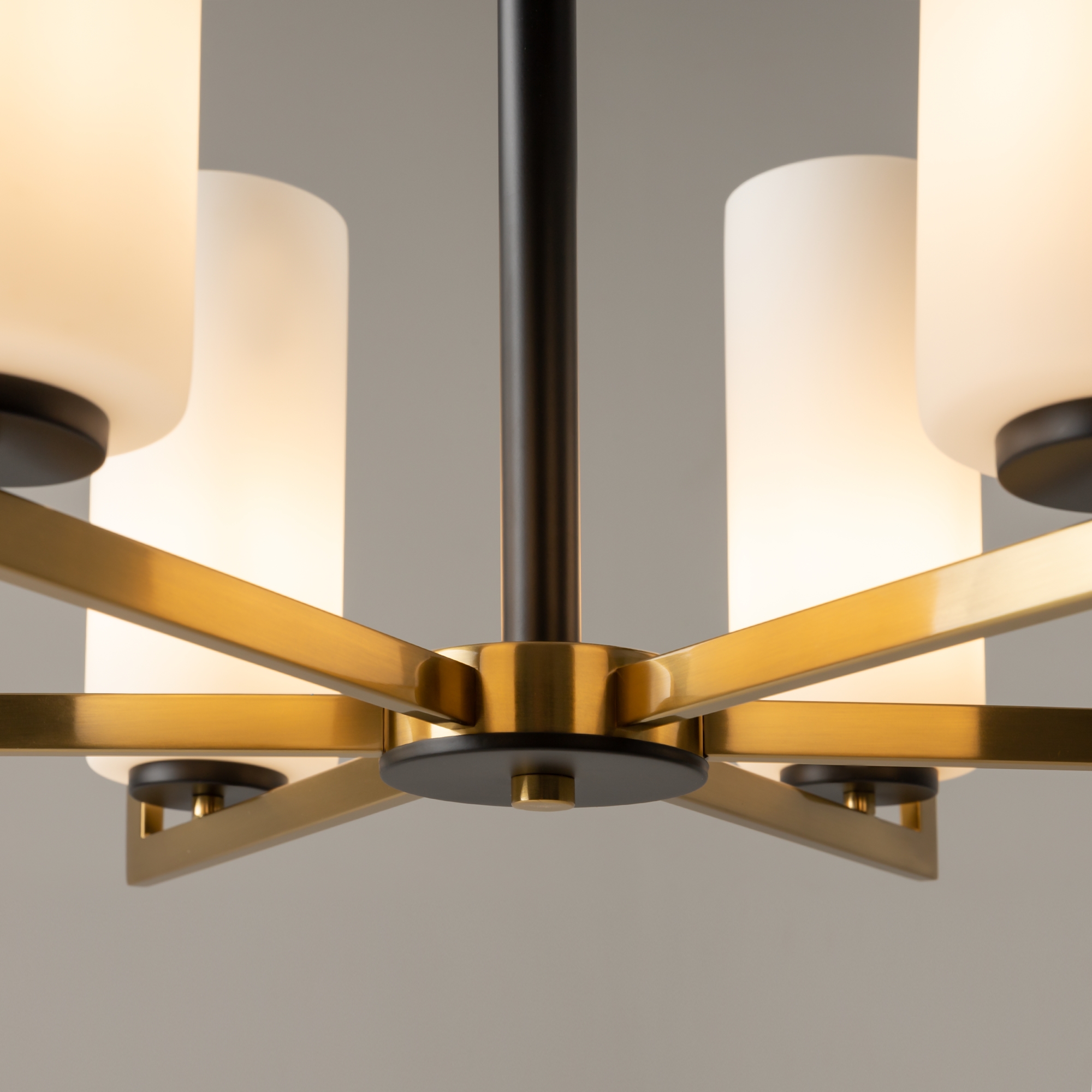 PHOTO_element_MOD089PL-06BS_w_standard