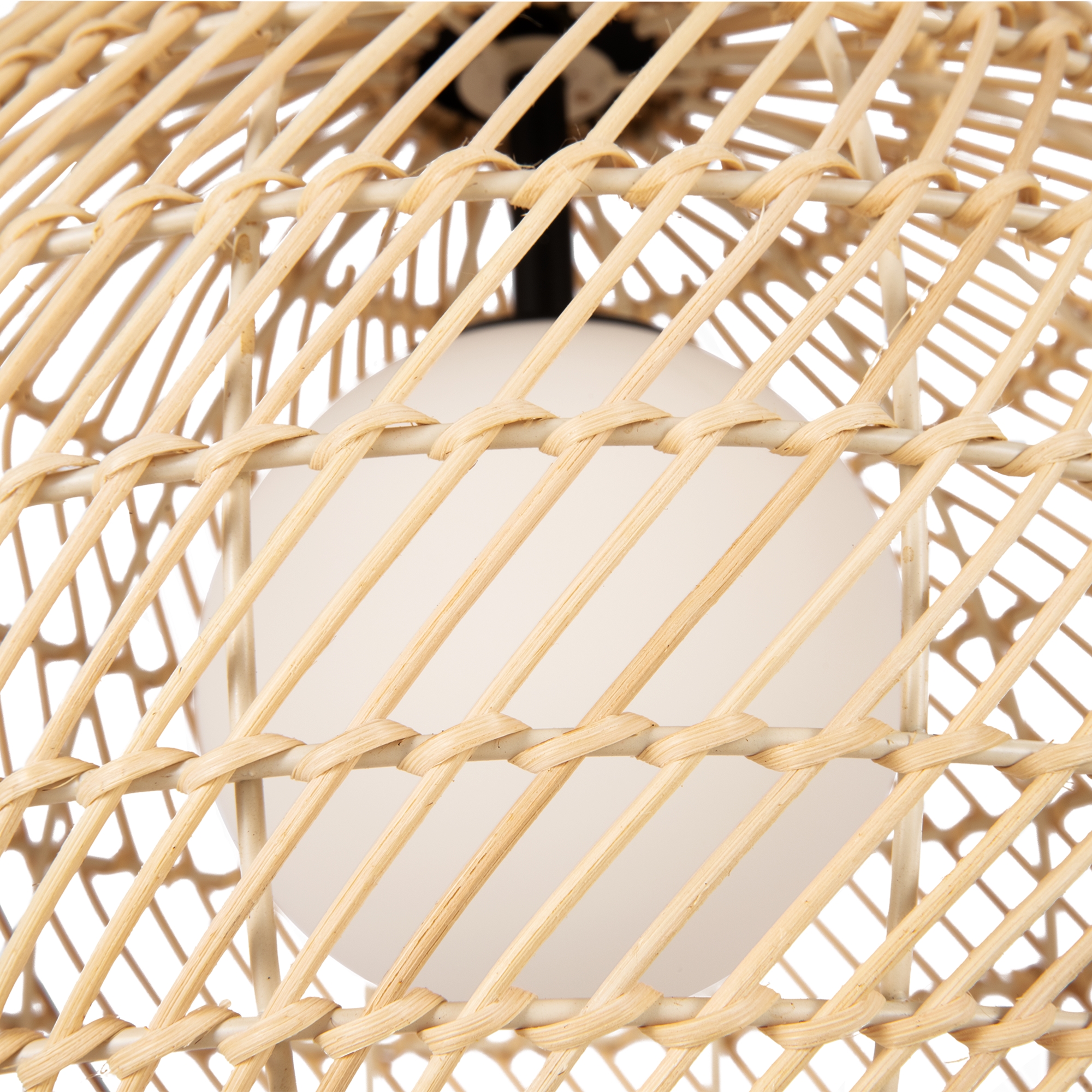 RENDER_CMYK_MOD204PL-01BG1_w_standard