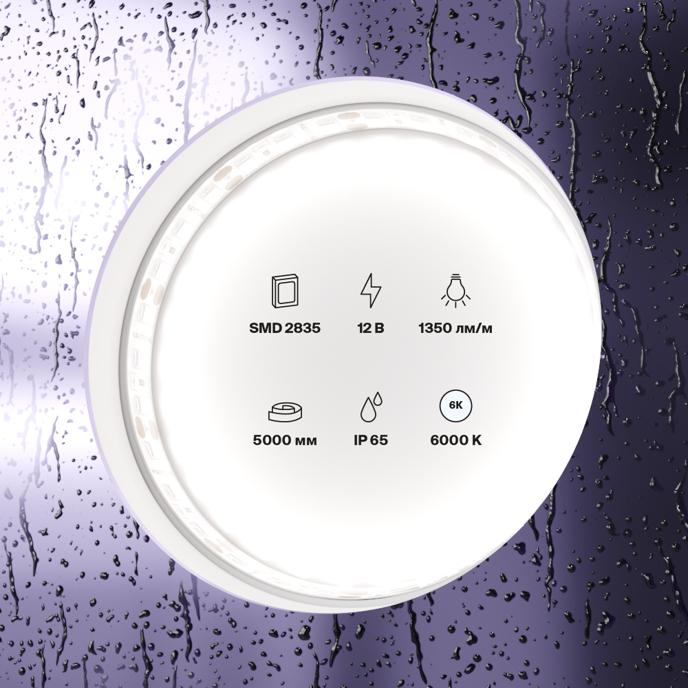 element_10119_w_standard_(2)