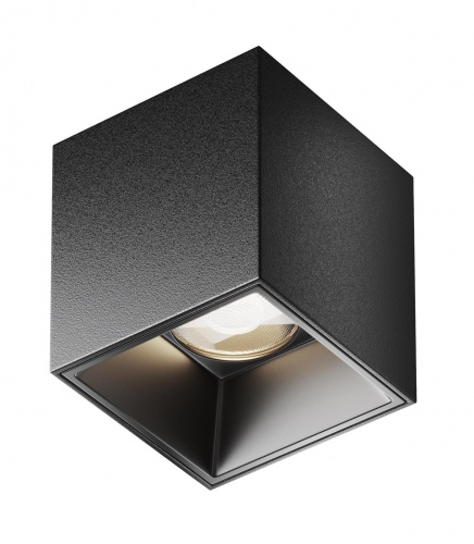 WhatsApp Image 2025-12-12 at 17.01.18