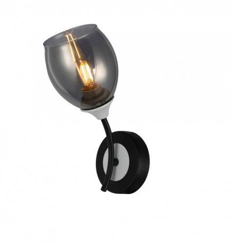 FR5227WL-01B_on_w_standard