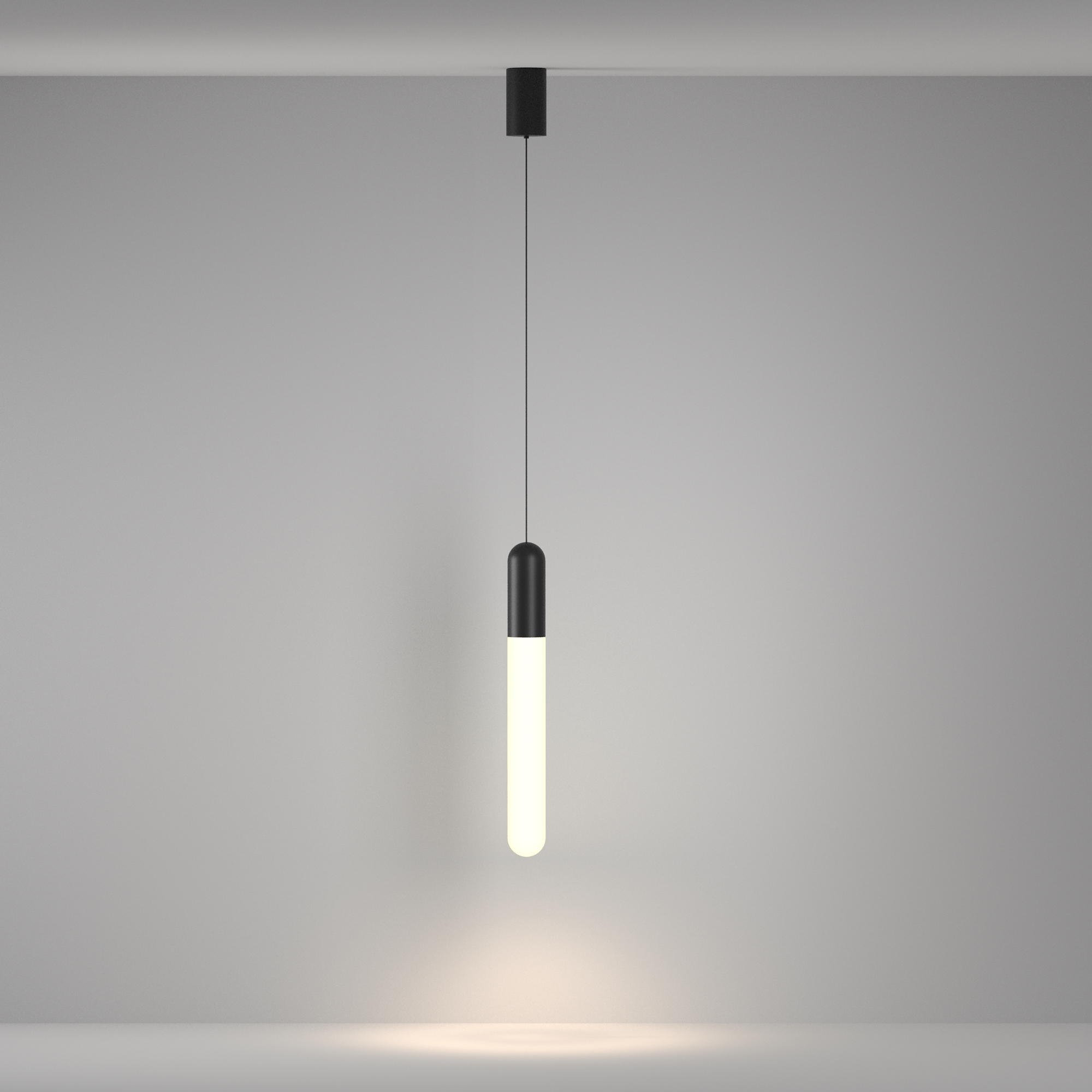 RENDER_Additional_perspective_P101PL-L500-12W3K-B_standard