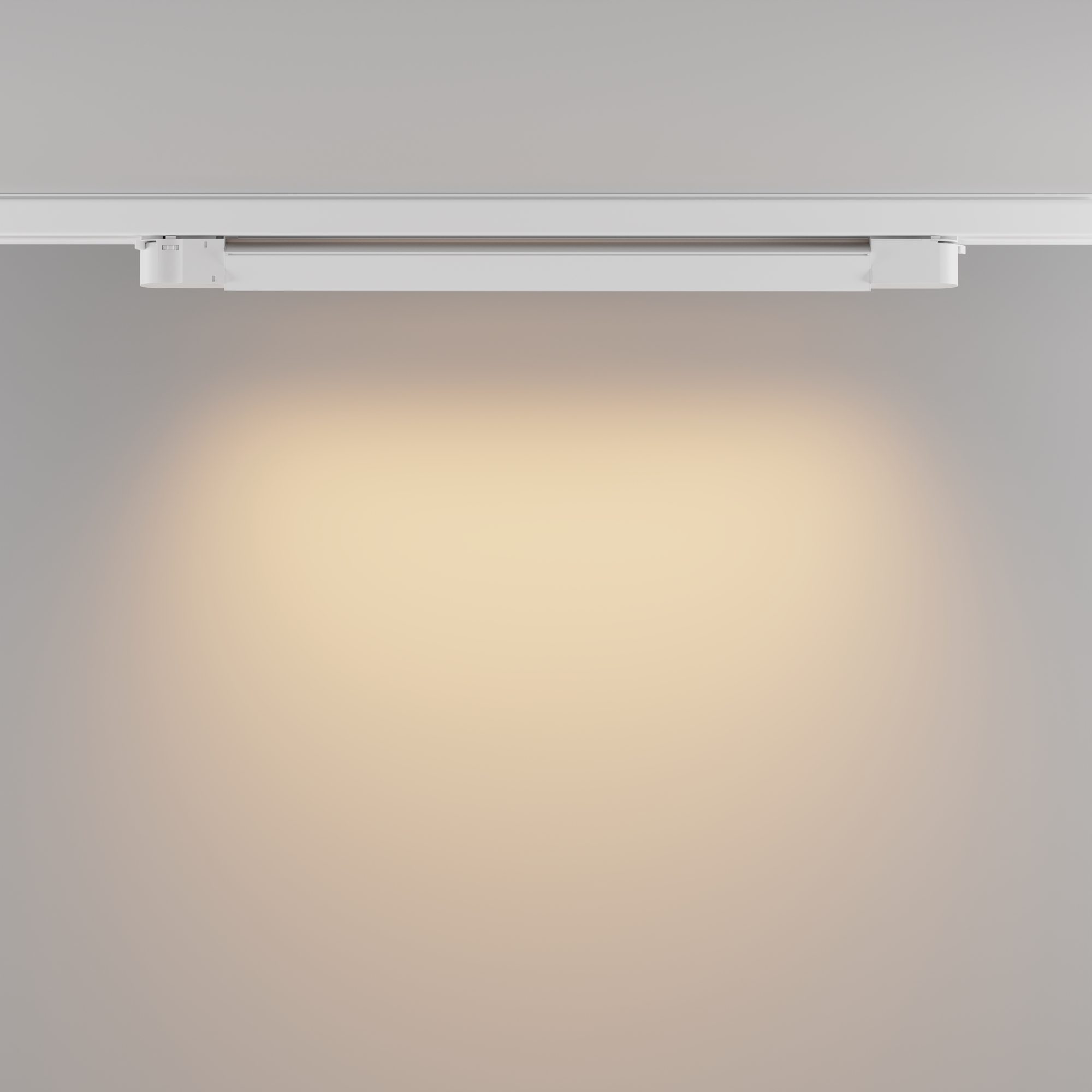 RENDER_Additional_perspective_TR196-3-20W2