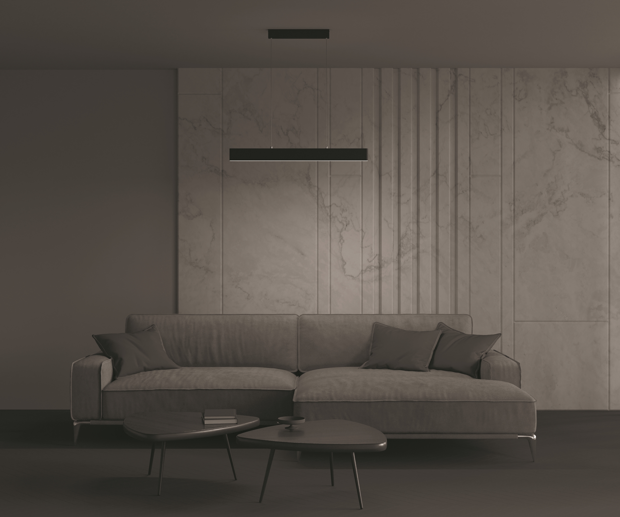 how_shines_CMYK_P010PL-L23B_standard