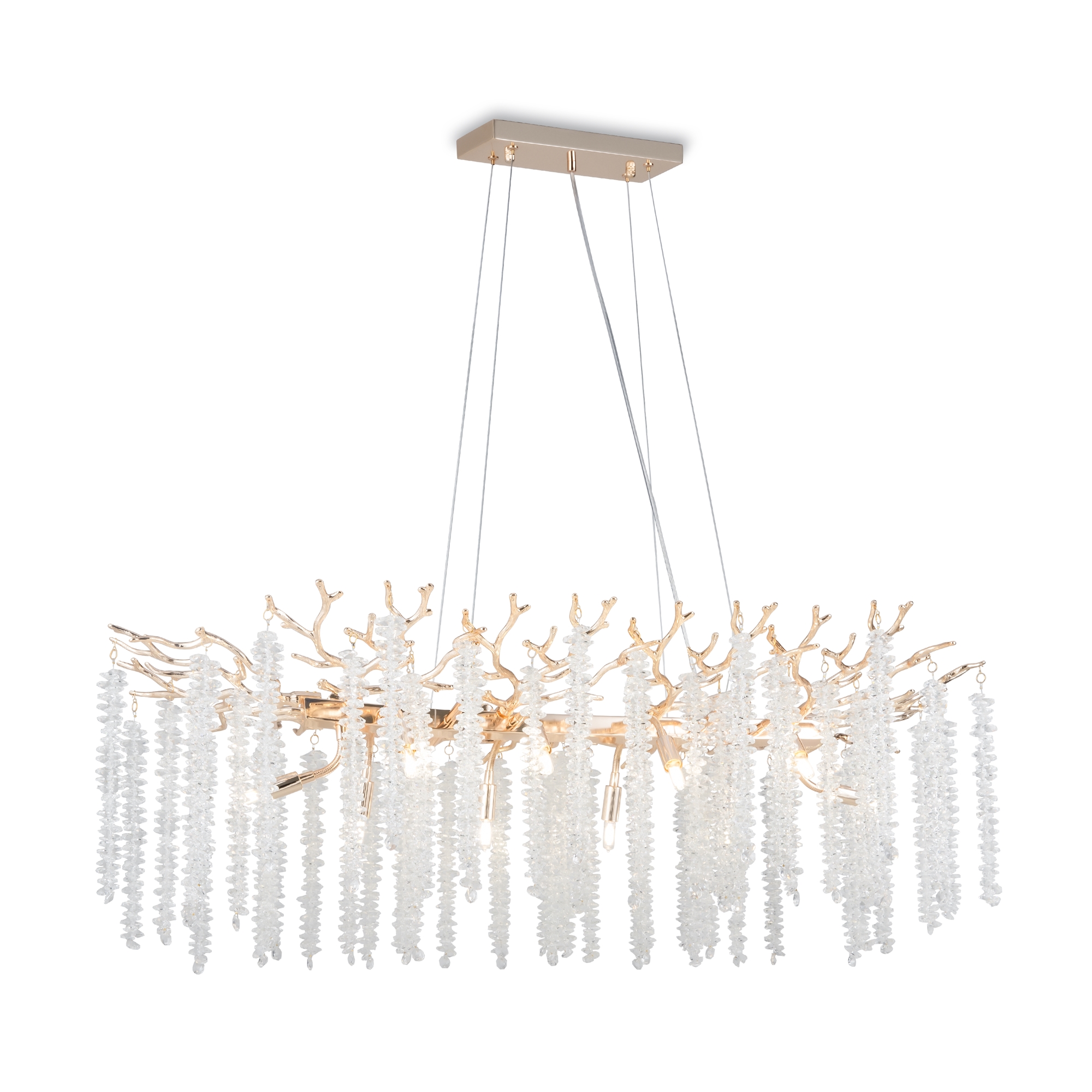 PHOTO_FR1010PL-10G1_on_w_standard_(1)