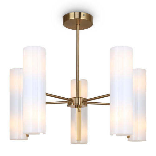 PHOTO_FR5368CL-10BS_on_w_standard_(1)