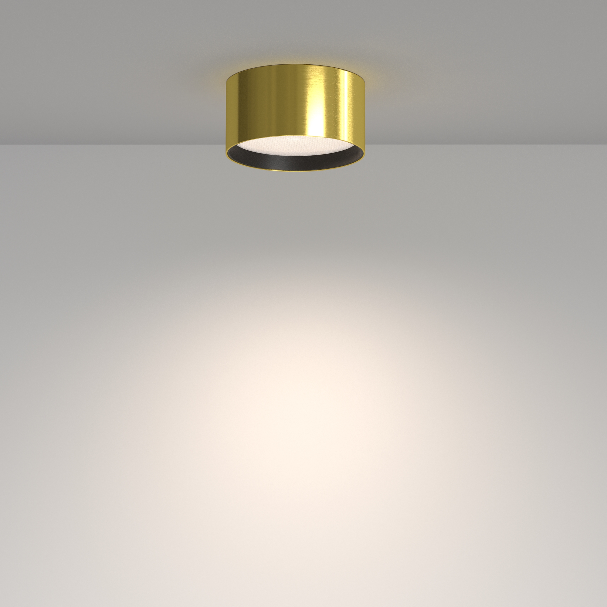 RENDER_Mobility_and_control_feature_C091CL-12W4K-BS_standard