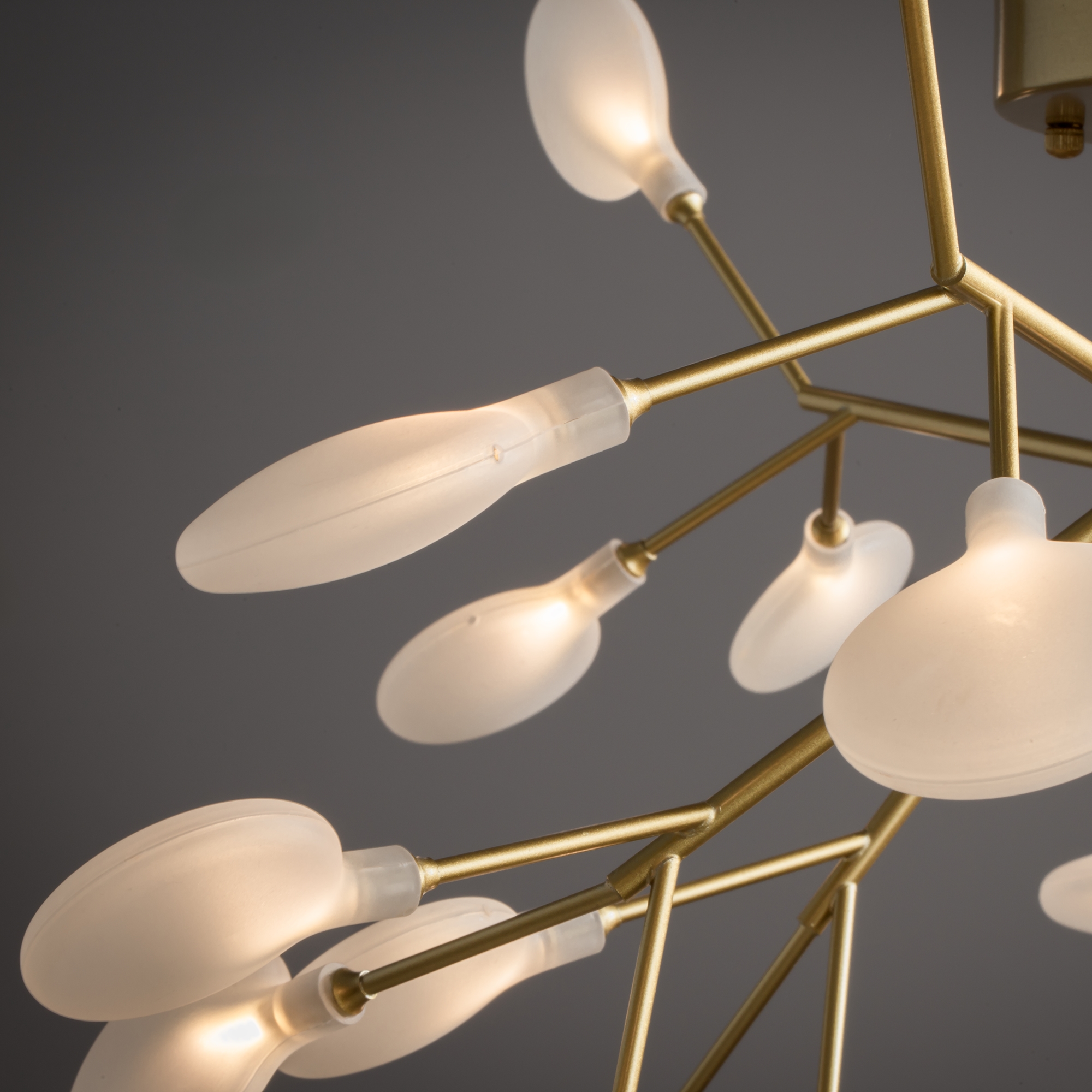 Image_photo №2_FR5049PL-27G_standard