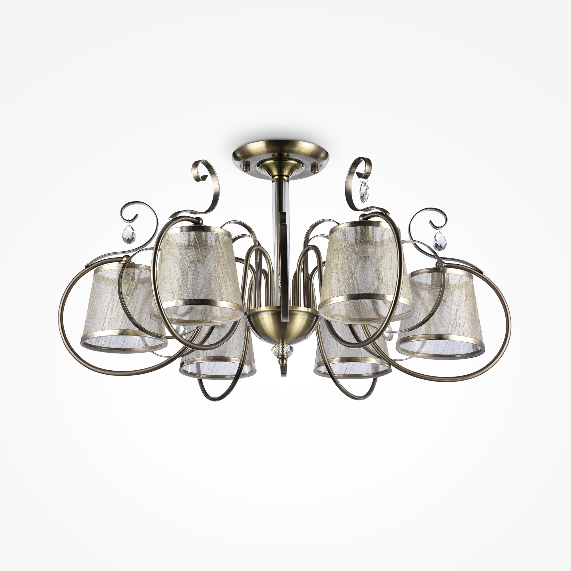 PHOTO_FR2020-PL-06-BZ_on_w_standard_(1)