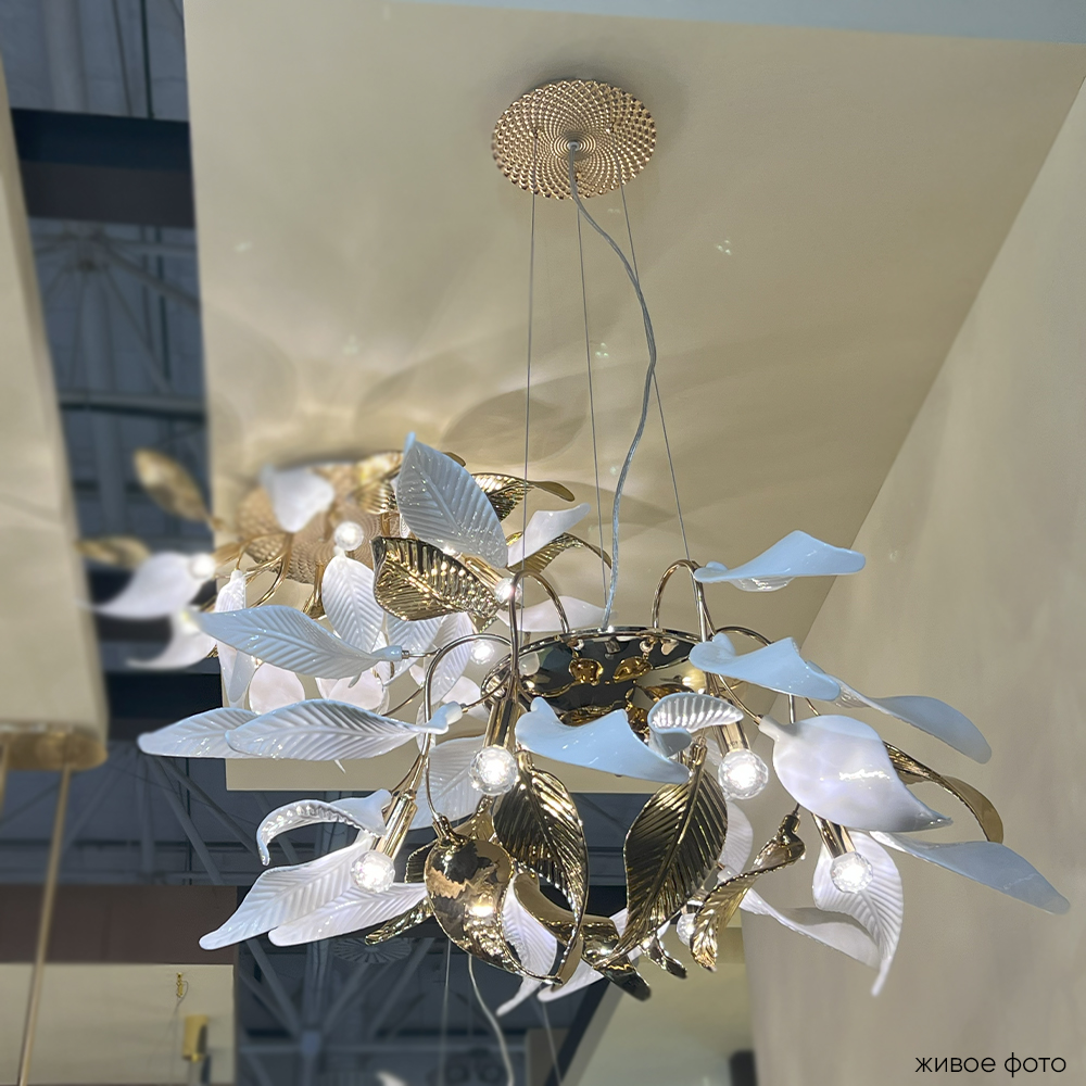 STEFANIA_SP6R_livephoto