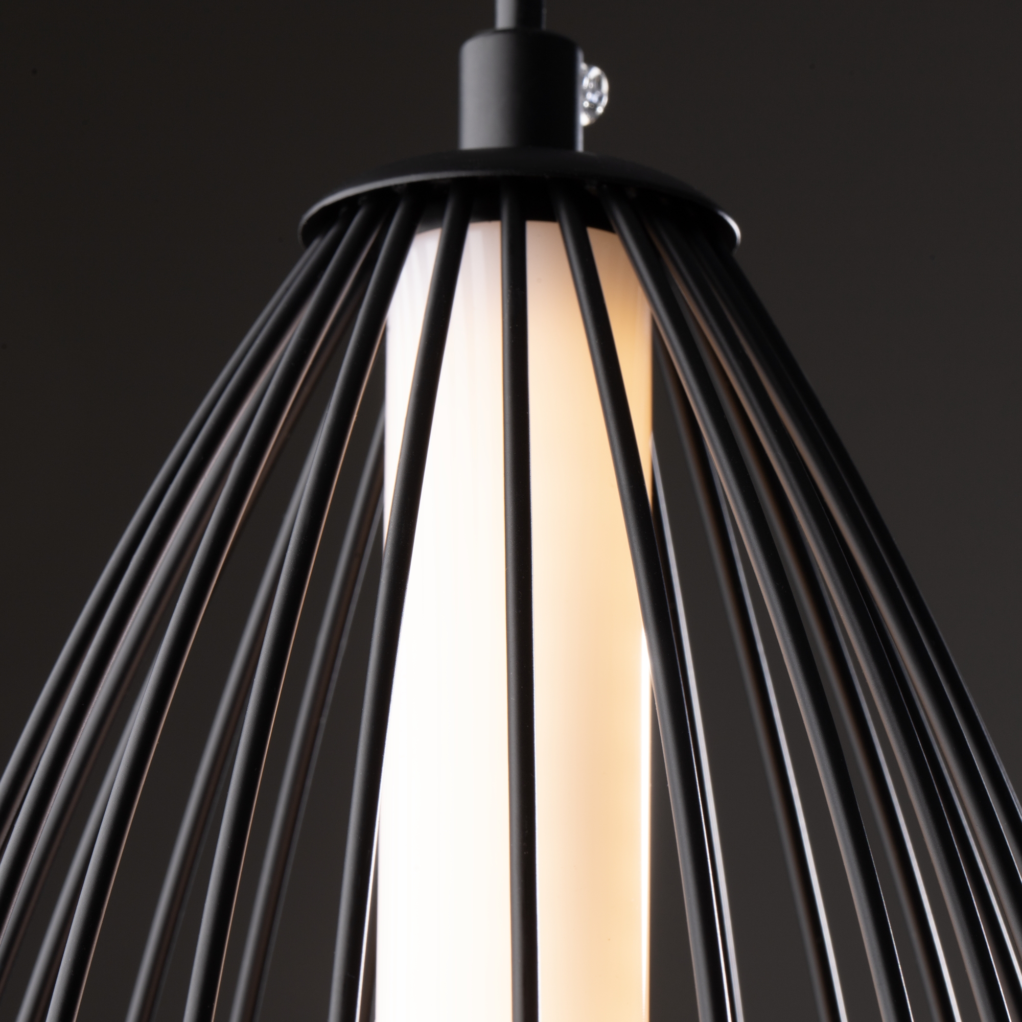 Image_photo №1_FR6131PL-L24B_standard