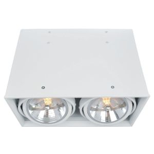 Потолочный светильник Arte Lamp Cardani A5936PL-2WH