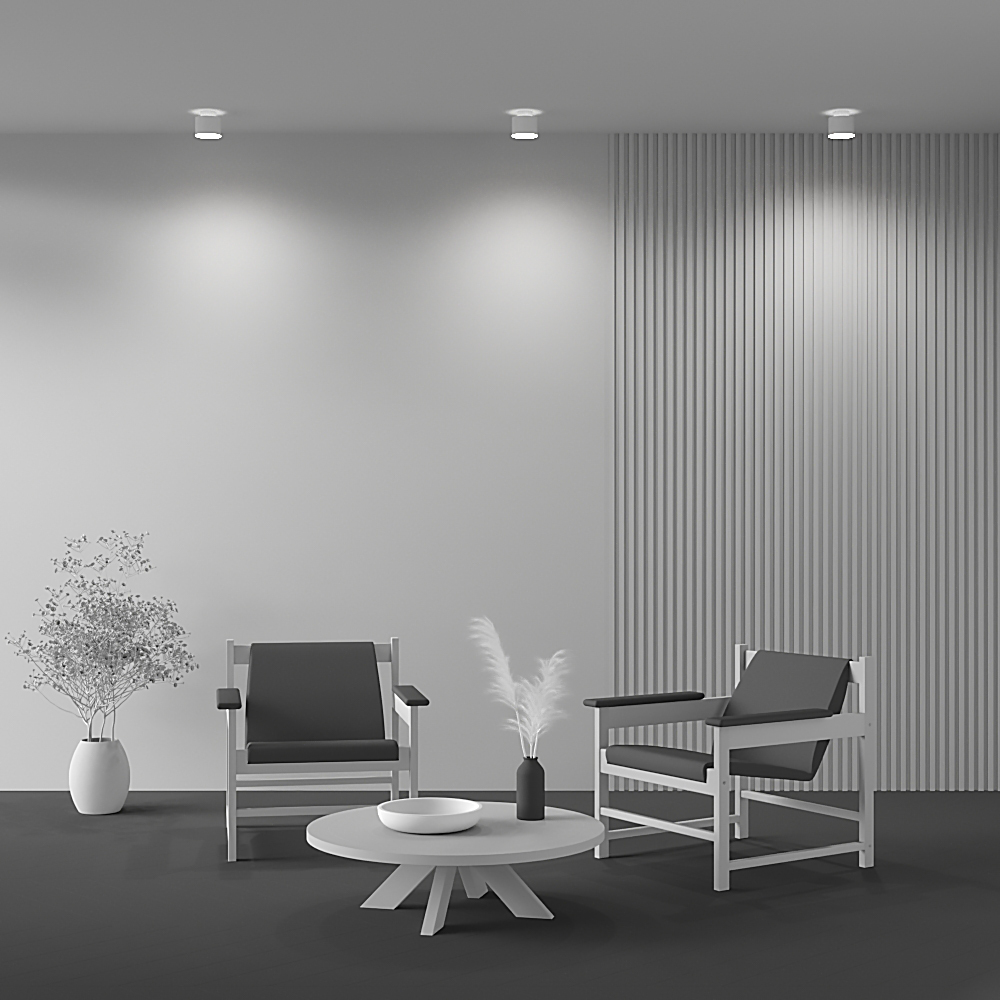 How_it_shines_C009CW-L12W4K_standard