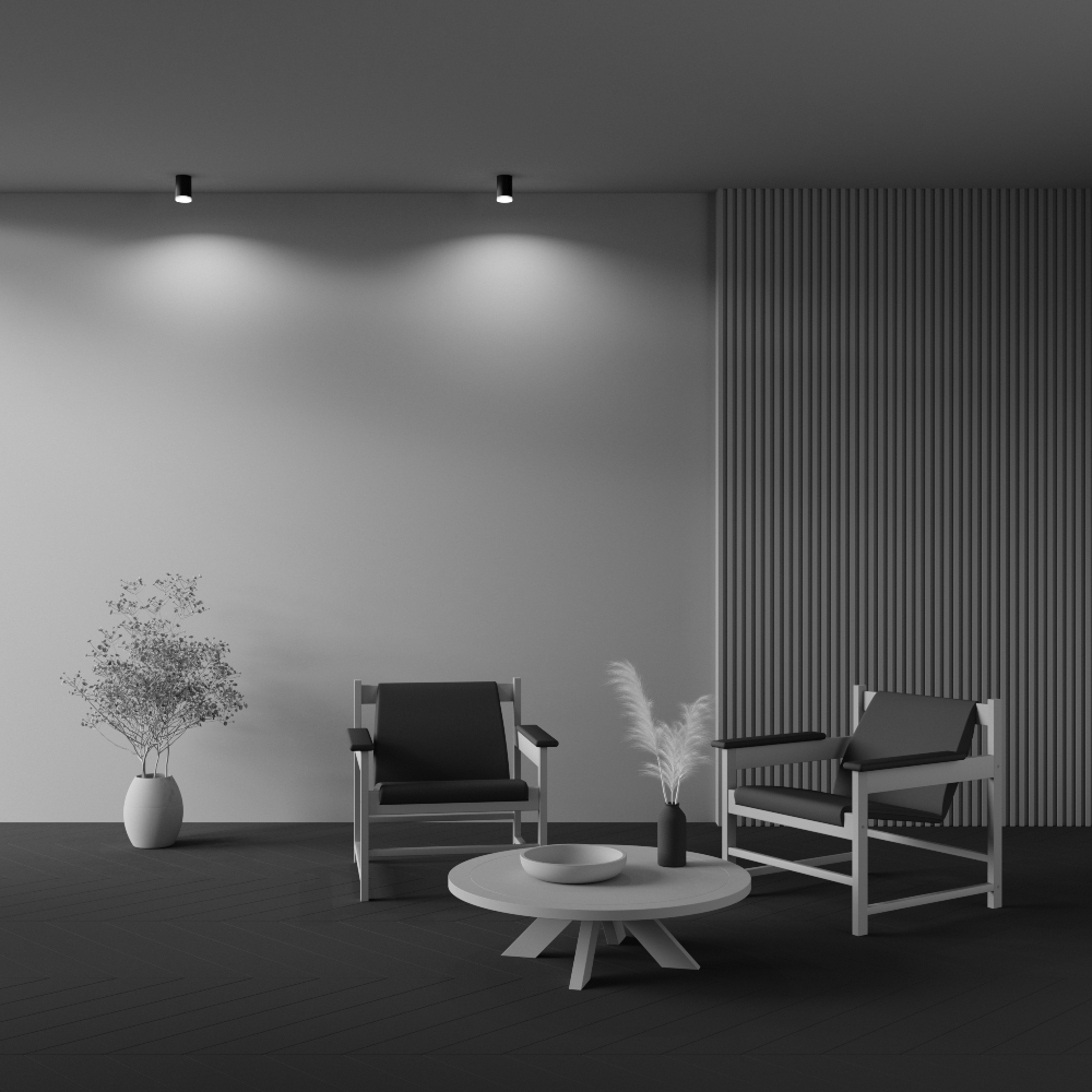 How_it_shines_C008CW-01B_standard